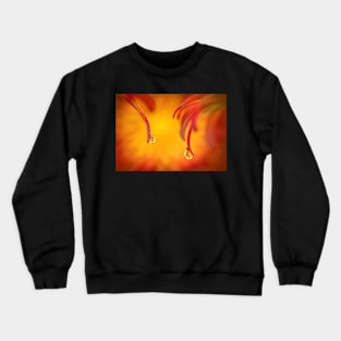 Droplet Refraction on Chrysanthemum Petals Crewneck Sweatshirt